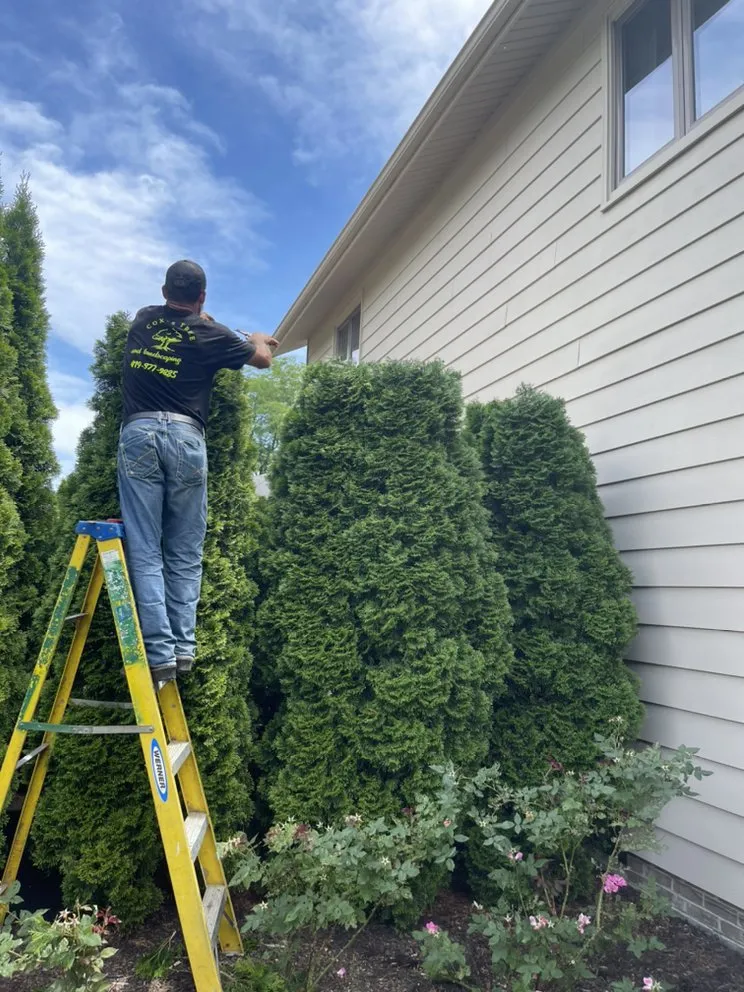 Reliable garden landscaping for beautiful yards in Toledo, OH by Coxs Tree and Lawn Care