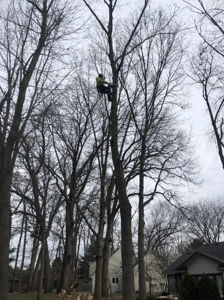 Trusted landscape installation in Toledo, OH by Coxs Tree and Lawn Care