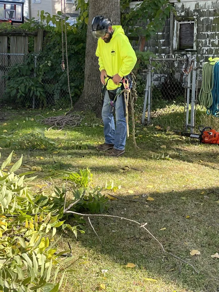 Custom landscape design experts serving Toledo, OH - Coxs Tree and Lawn Care