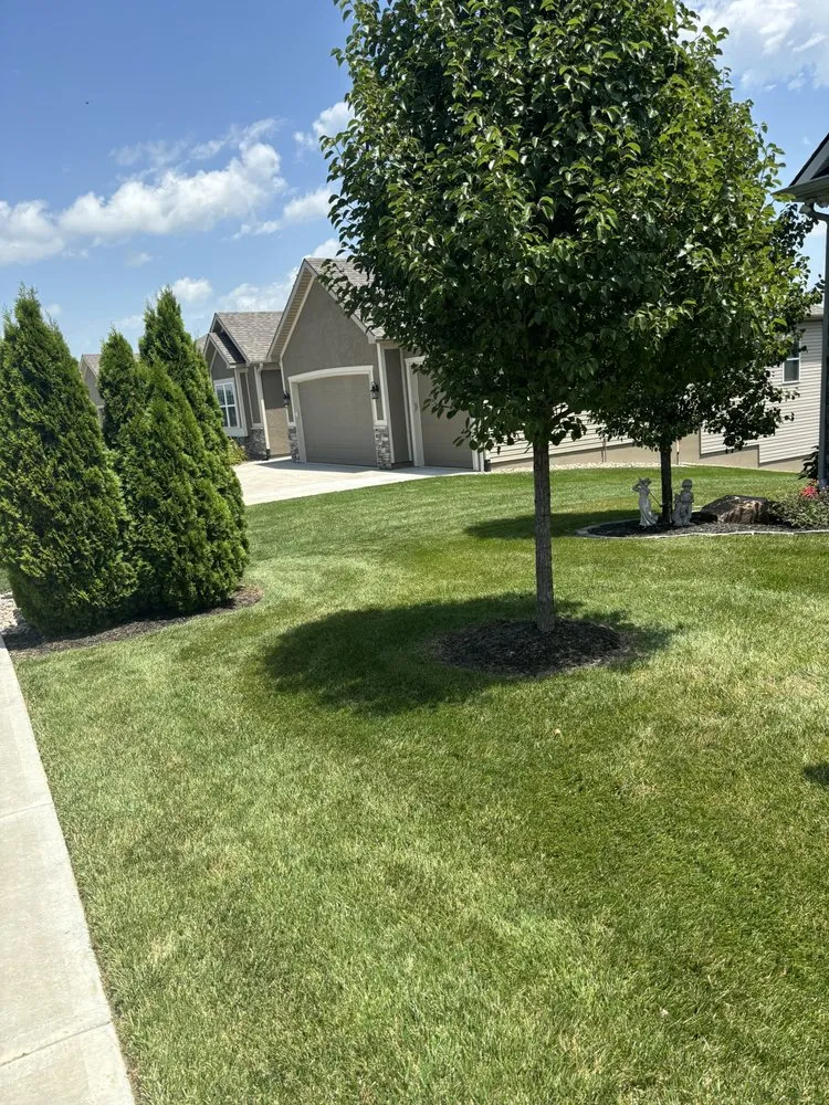 Reliable yard maintenance experts serving Saint Joseph, MO - Coy Home and commercial Services