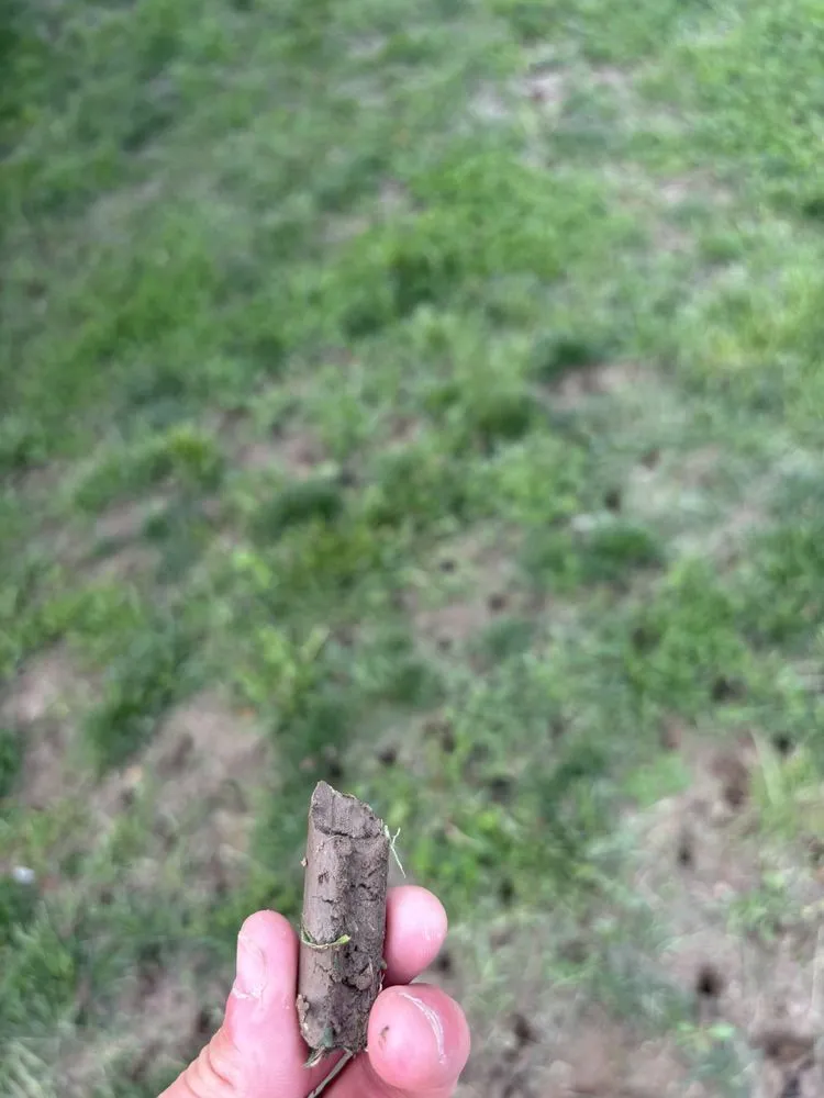 Trusted residential landscaping experts serving Saint Joseph, MO - Coy Home and commercial Services