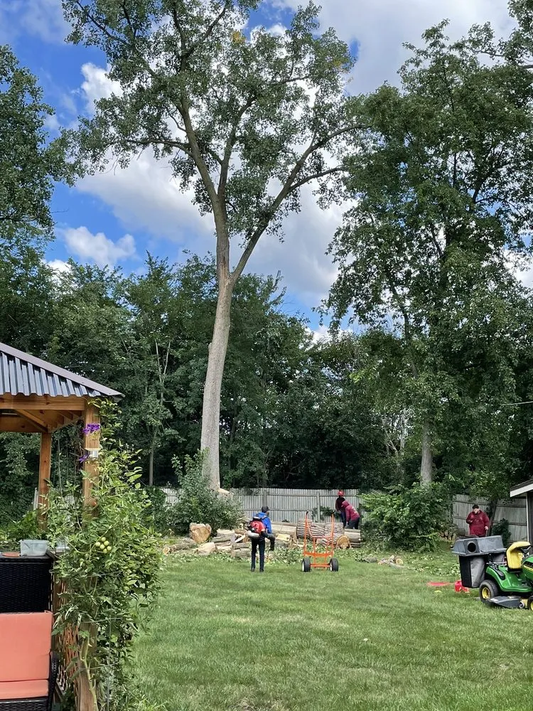 Local lawn mowing service in Carpentersville, IL - Coy Tree Service