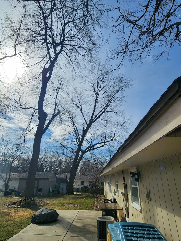 Affordable residential landscaping in Carpentersville, IL - Coy Tree Service