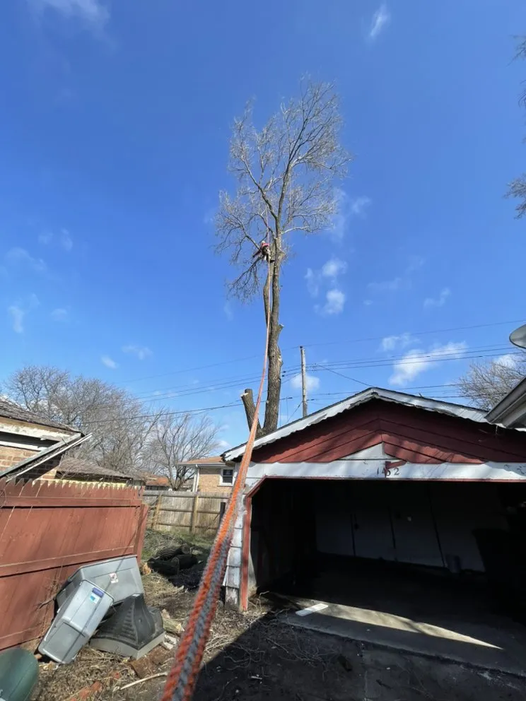 Professional garden landscaping in Carpentersville, IL - Coy Tree Service