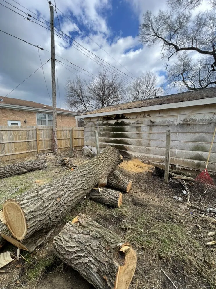 Custom outdoor landscaping for beautiful yards across Carpentersville, IL - Coy Tree Service