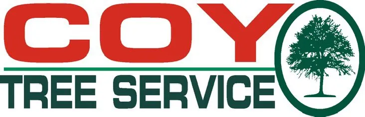 Reliable yard maintenance near you in Carpentersville, IL by Coy Tree Service
