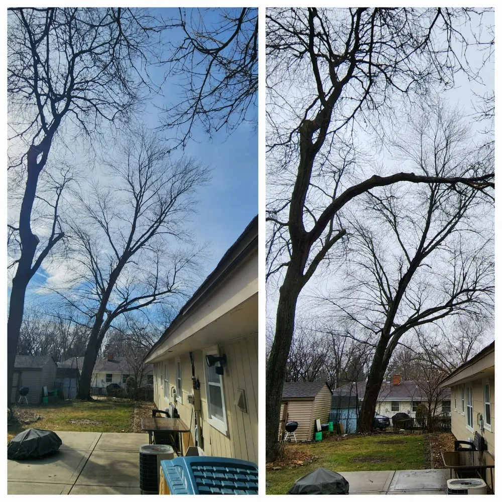 Custom landscaping services for homes across Carpentersville, IL - Coy Tree Service