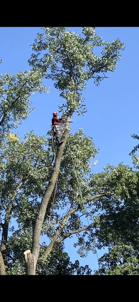 Custom garden landscaping experts serving Carpentersville, IL - Coy Tree Service