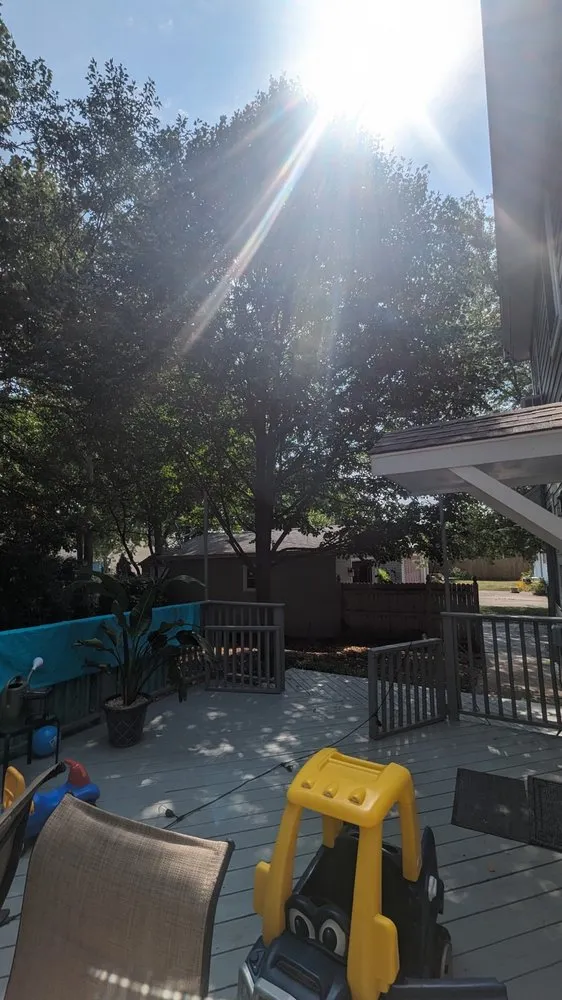 Professional lawn mowing service experts serving Carpentersville, IL - Coy Tree Service