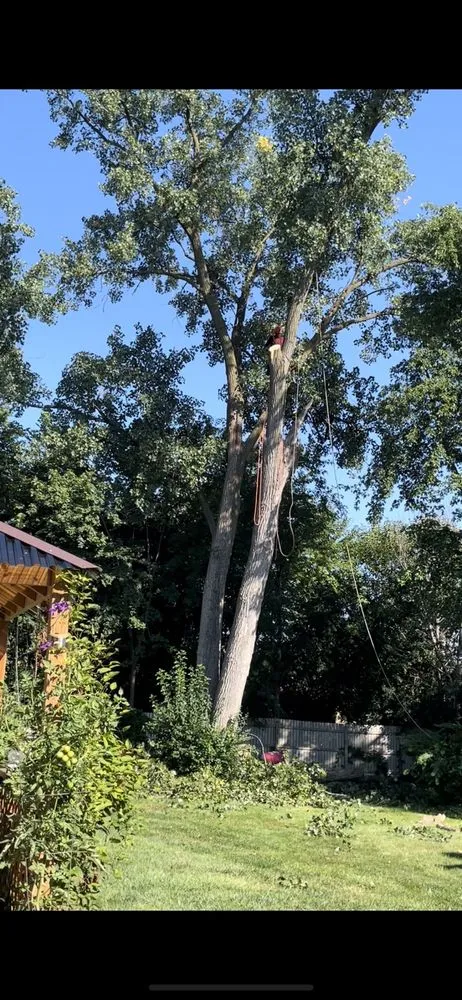 Custom landscaping services in Carpentersville, IL - Coy Tree Service