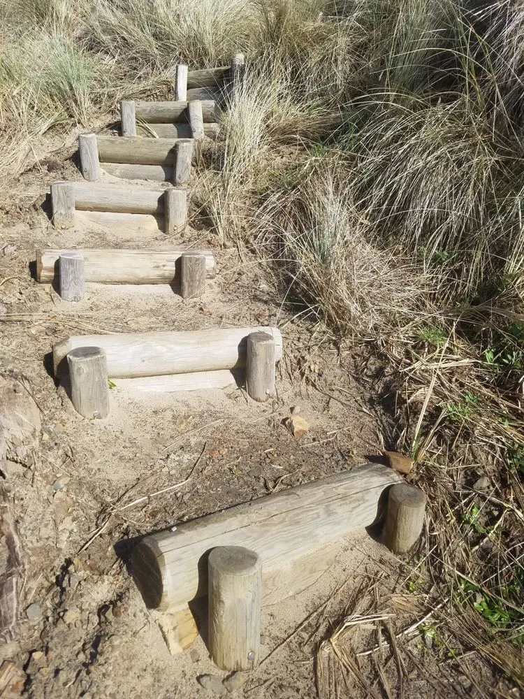 Expert yard cleanup service experts serving Neskowin, OR - Coyote Gardens