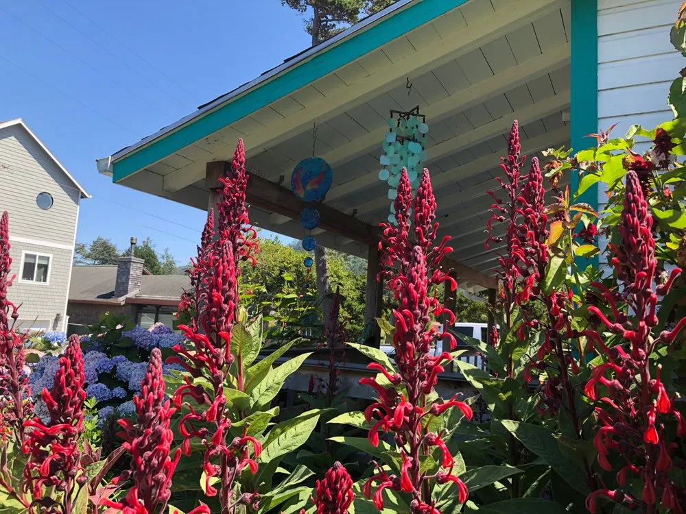 Affordable yard cleanup service in Neskowin, OR by Coyote Gardens