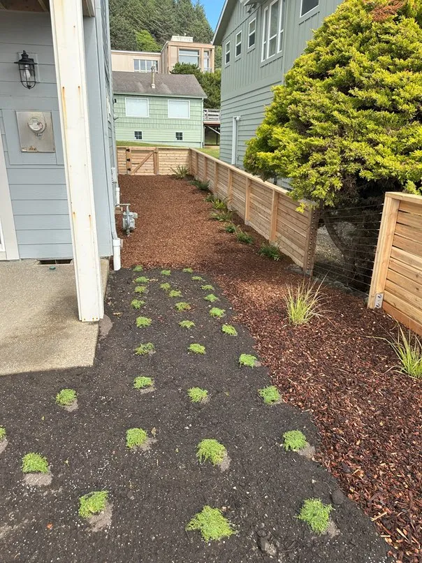 Affordable lawn care service for homes across Neskowin, OR - Coyote Gardens
