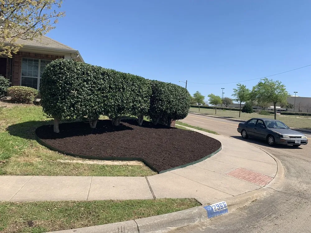 Custom yard cleanup service in Duncanville, TX by Coyote Landscaping & Tree Service