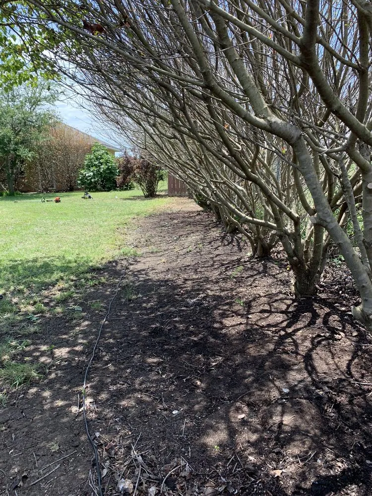 Trusted lawn care service near you across Duncanville, TX - Coyote Landscaping & Tree Service