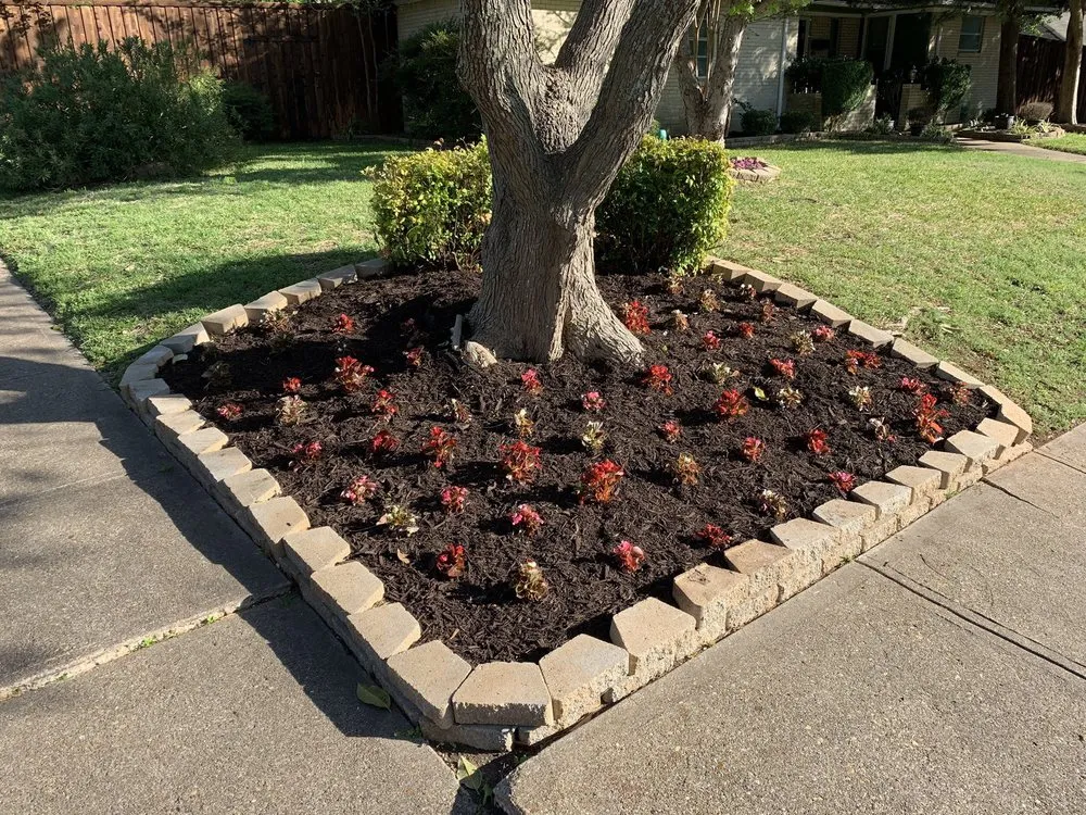 Reliable lawn mowing service in Duncanville, TX by Coyote Landscaping & Tree Service