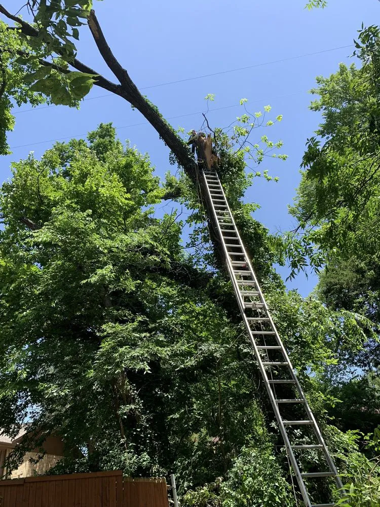 Expert residential landscaping near you in Duncanville, TX by Coyote Landscaping & Tree Service