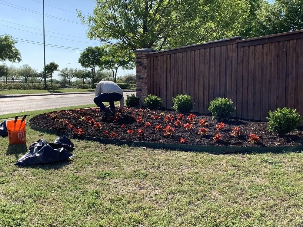Trusted lawn mowing service for beautiful yards in Duncanville, TX by Coyote Landscaping & Tree Service