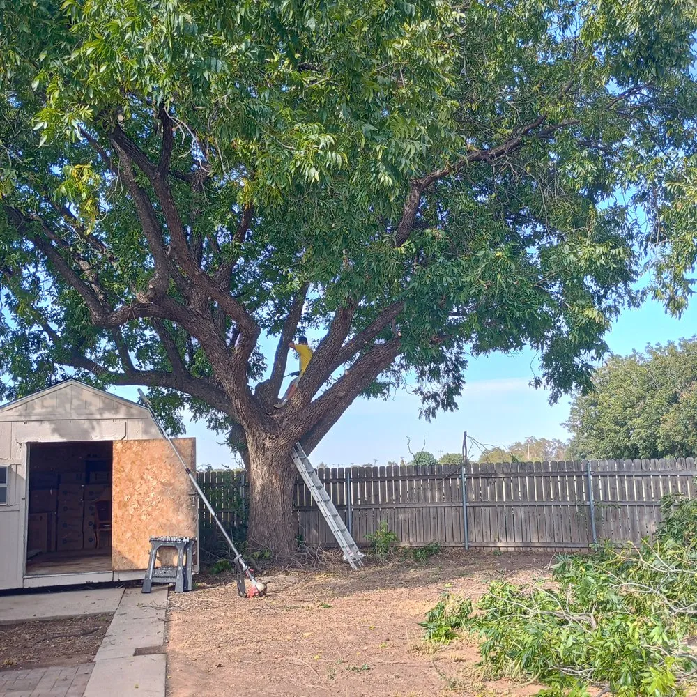 Reliable garden landscaping in Altus, OK - Coyote Lawn Services