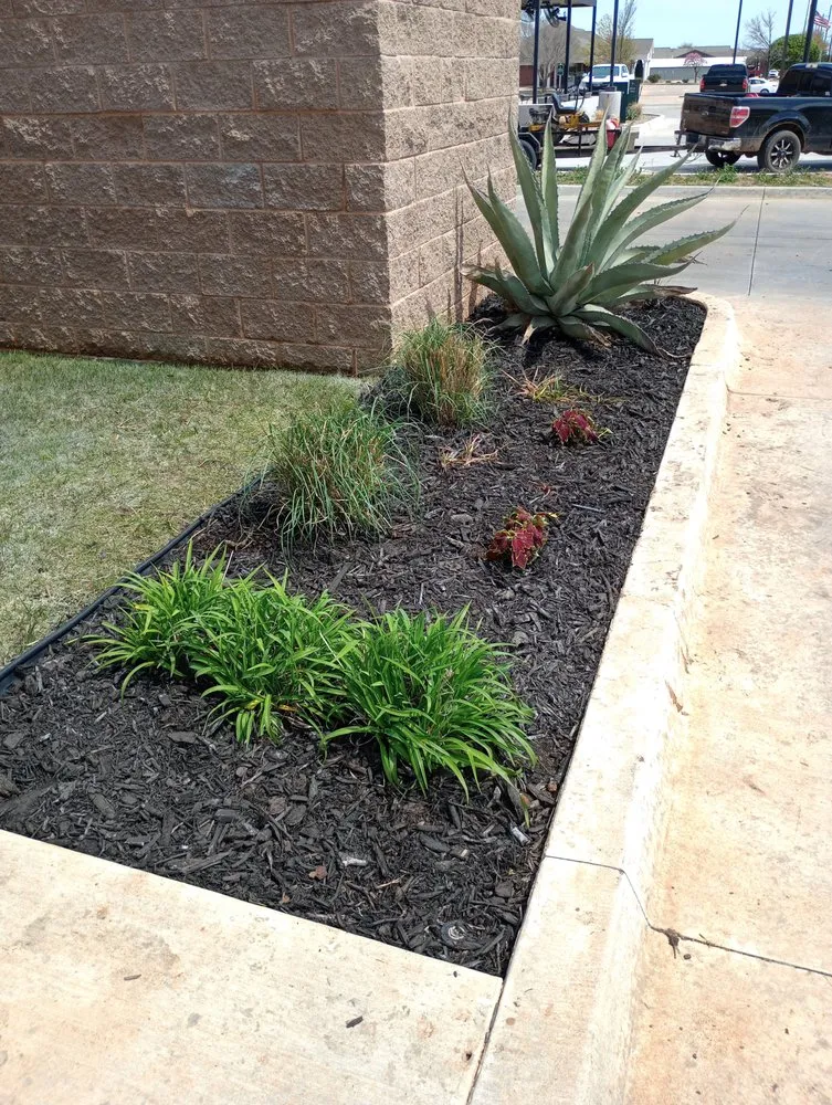 Custom lawn care service for beautiful yards across Altus, OK - Coyote Lawn Services