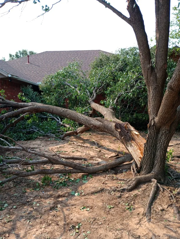 Local yard cleanup service with custom design across Altus, OK - Coyote Lawn Services