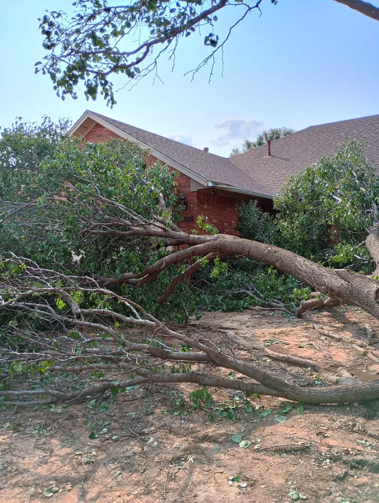 Trusted lawn mowing service with custom design in Altus, OK by Coyote Lawn Services