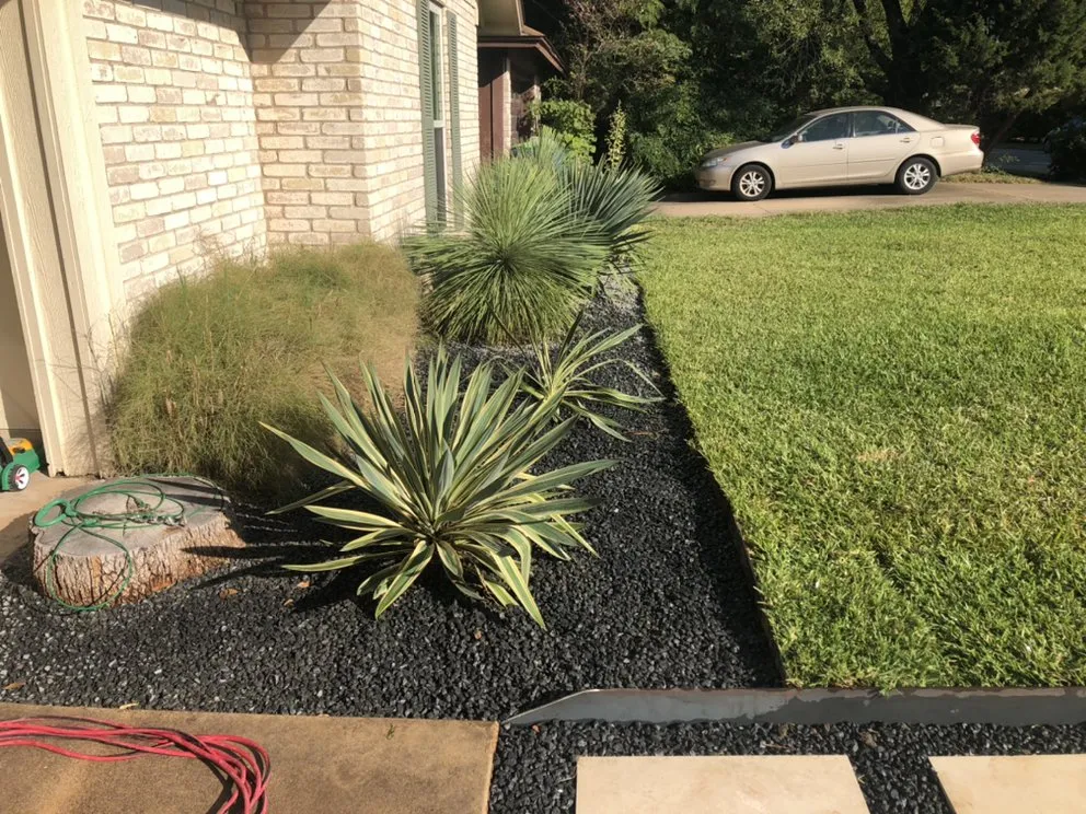 Top-rated yard maintenance for year-round maintenance across Austin, TX - Coyote Moss Landscapes