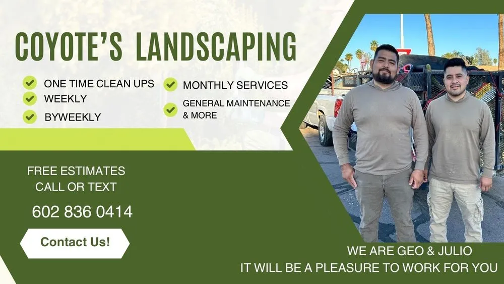 Expert residential landscaping experts serving Glendale, AZ - Coyotes Landscape