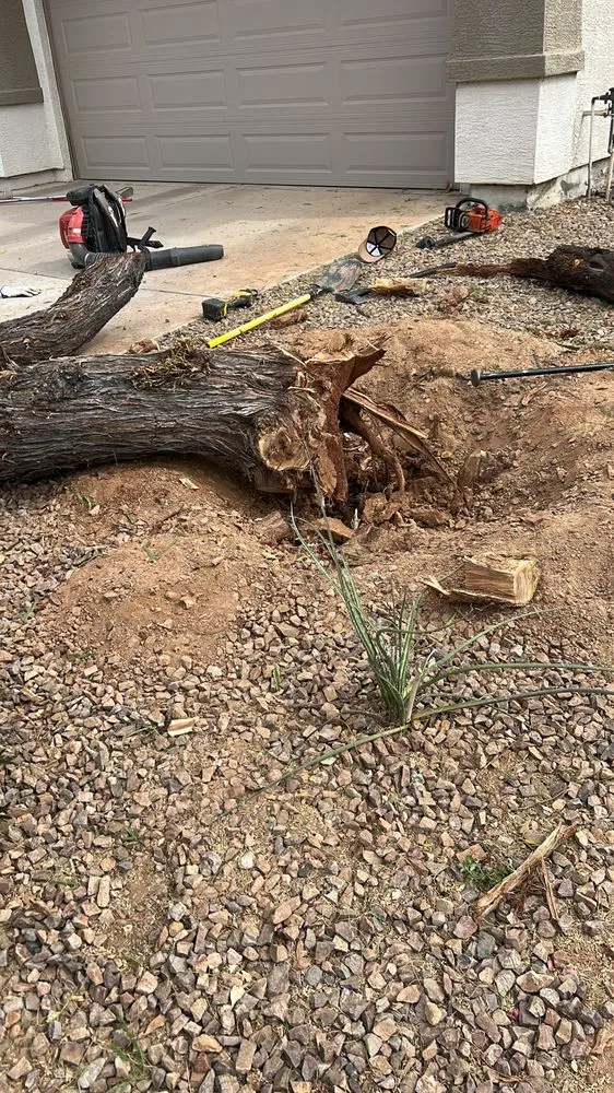 Reliable outdoor landscaping in Glendale, AZ by Coyotes Landscape