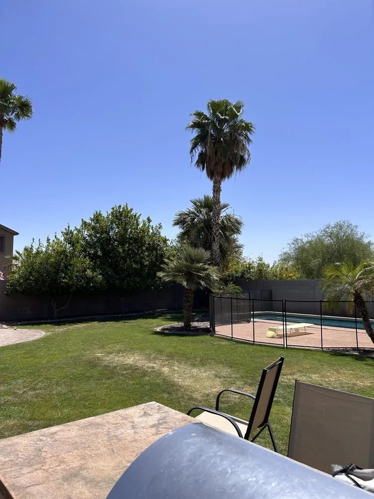 Reliable landscaping services for year-round maintenance in Glendale, AZ by Coyotes Landscape