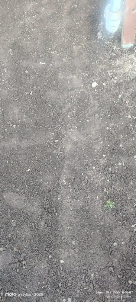 Expert yard cleanup service in Salem, OR by Coyotes landscaping