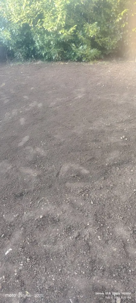 Expert landscape installation with custom design in Salem, OR by Coyotes landscaping