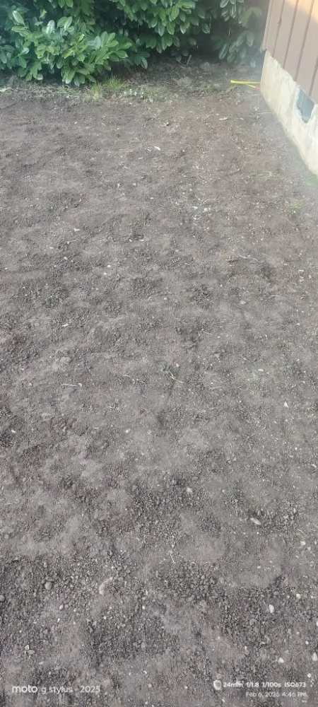 Affordable yard cleanup service in Salem, OR - Coyotes landscaping