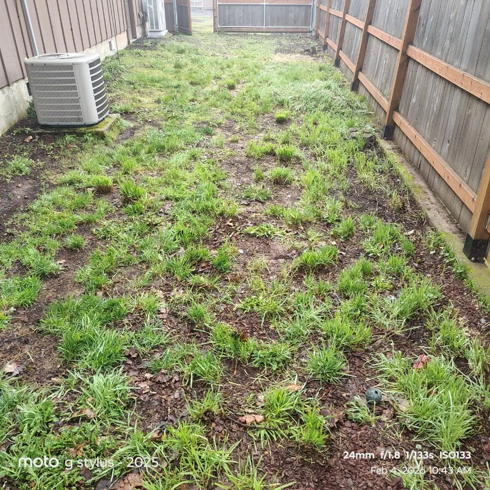 Trusted lawn mowing service for year-round maintenance in Salem, OR by Coyotes landscaping