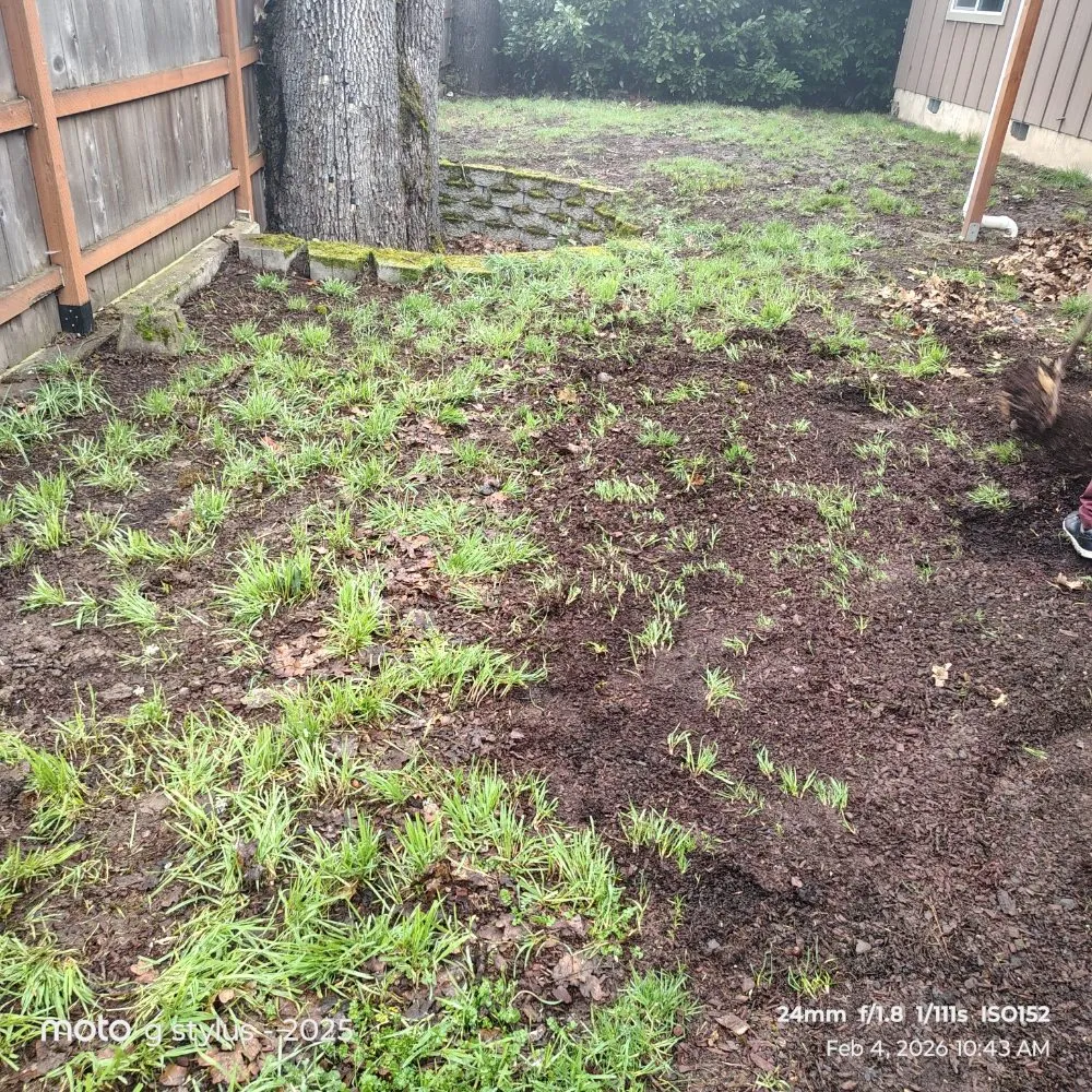 Custom lawn care service experts serving Salem, OR - Coyotes landscaping