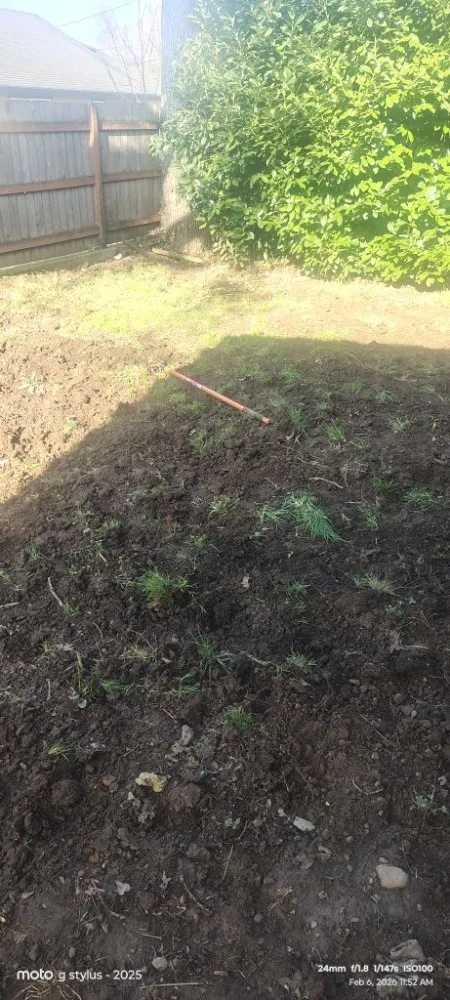 Local lawn care service for outdoor upgrades across Salem, OR - Coyotes landscaping