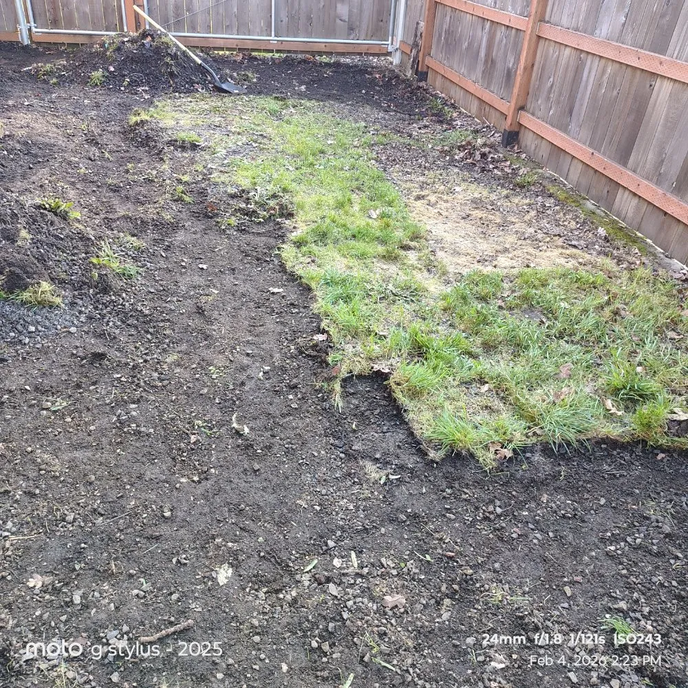 Affordable lawn care service in Salem, OR by Coyotes landscaping