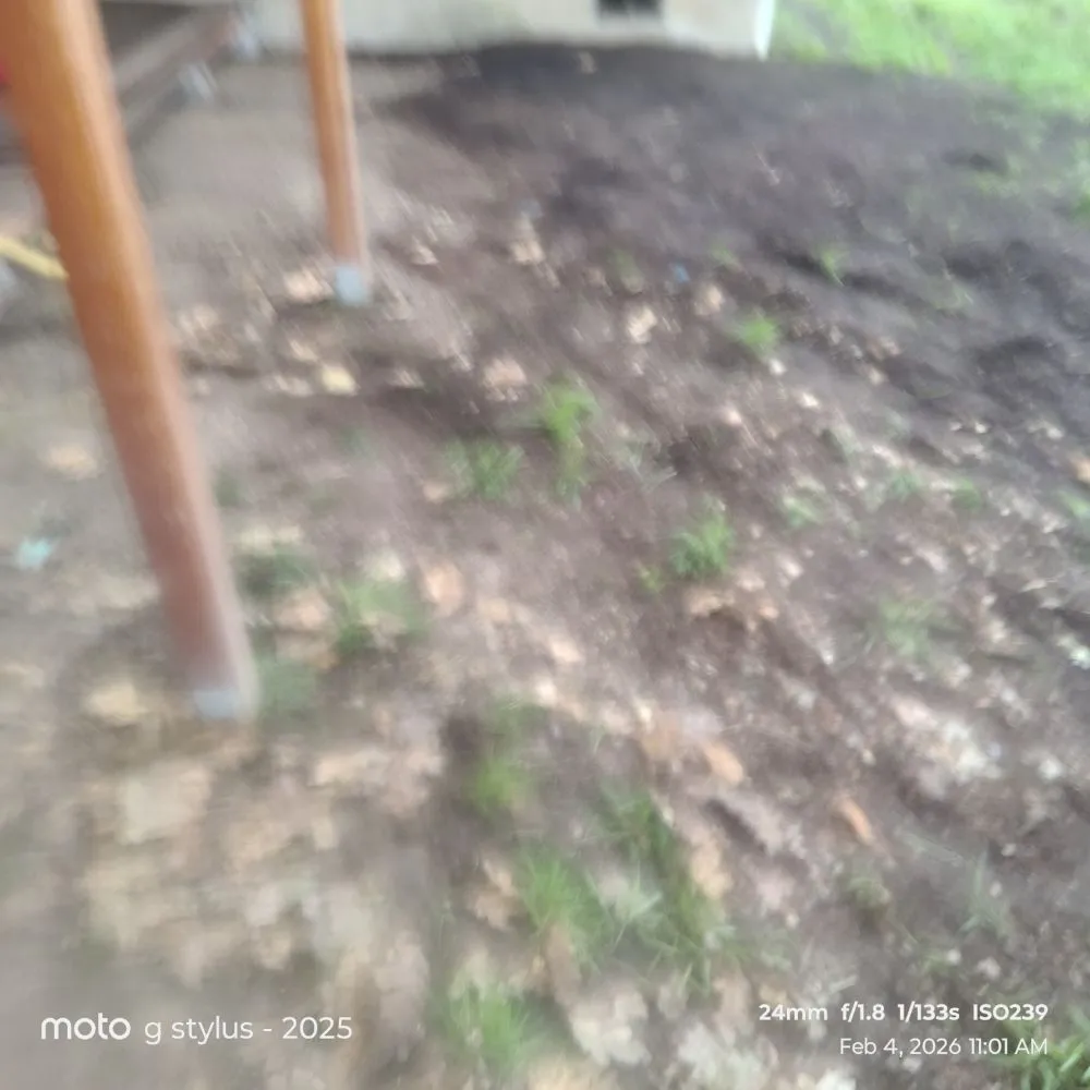 Expert yard cleanup service in Salem, OR - Coyotes landscaping