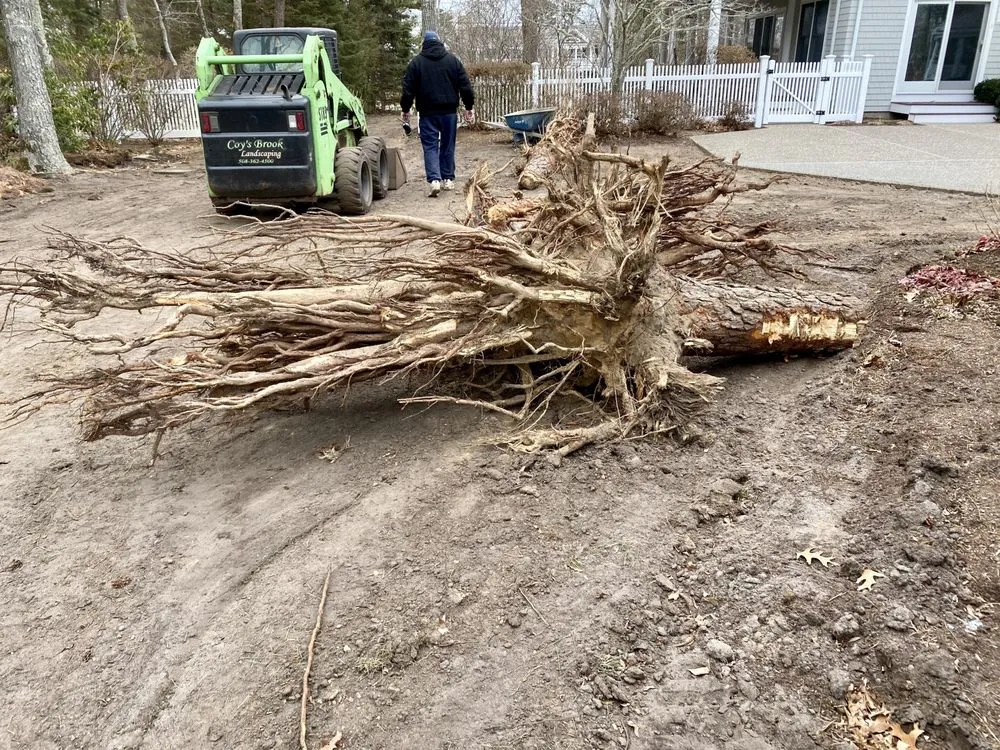 Professional yard maintenance for year-round maintenance in Yarmouth Port, MA by Coy's Brook Landscaping