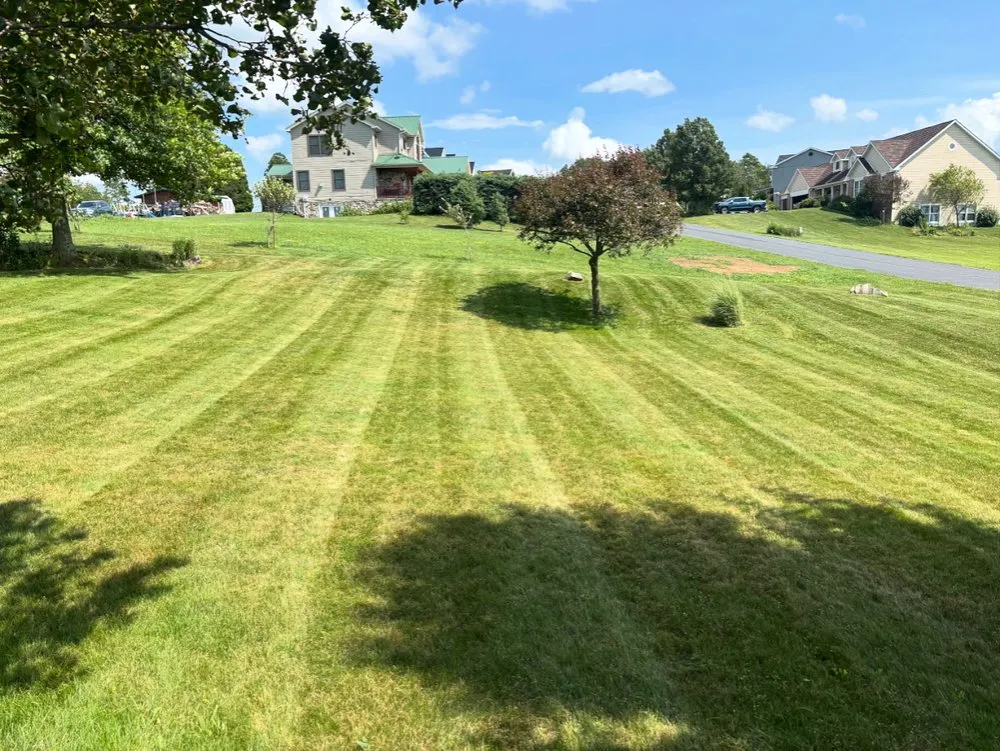 Affordable lawn care service in Somerset, PA by Coys Lawn Service