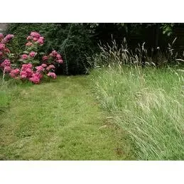 Expert yard cleanup service for beautiful yards across Sullivan, IL - Coy's Lawn Services