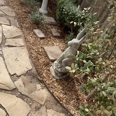 Expert yard maintenance for outdoor upgrades in Sullivan, IL by Coy's Lawn Services