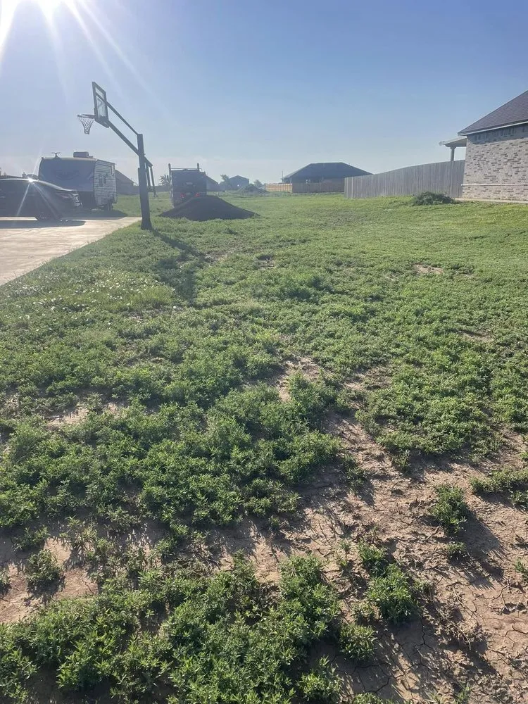 Affordable landscape design experts serving Sullivan, IL - Coy's Lawn Services