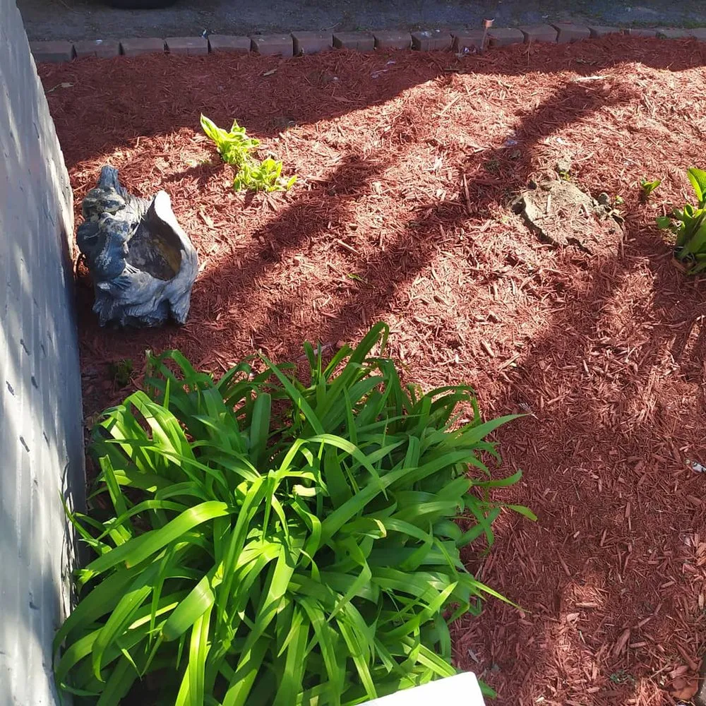 Affordable lawn care service in Toledo, OH by Cozier Home & Business Solutions