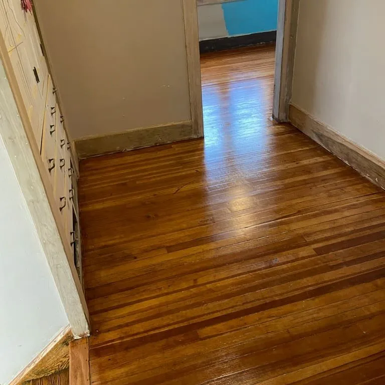 Top-rated lawn care service for homes across Toledo, OH - Cozier Home & Business Solutions