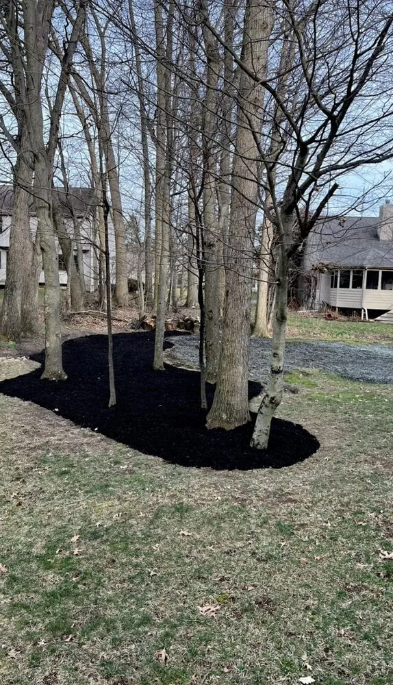 Affordable yard maintenance in Mansfield, OH by Cozy Custom Services