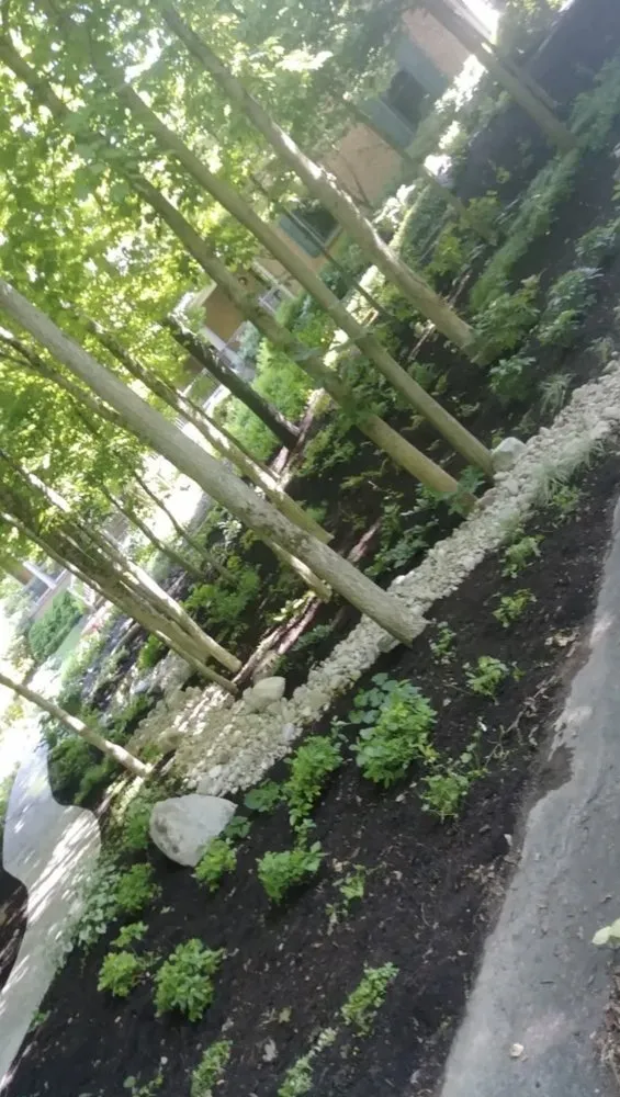 Local yard cleanup service for outdoor upgrades across Mansfield, OH - Cozy Custom Services