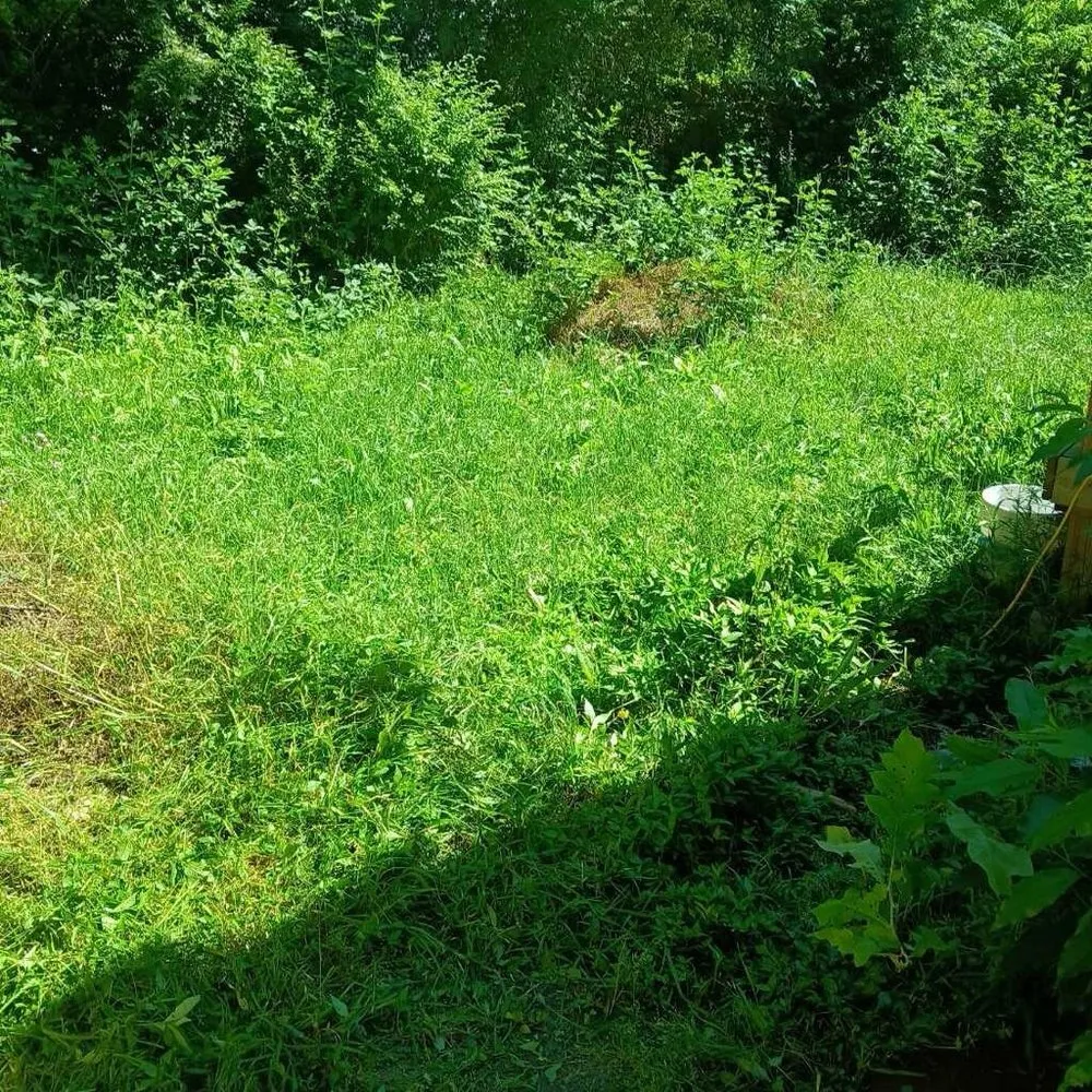 Affordable garden landscaping in Hampton, VA by Cp Cuts