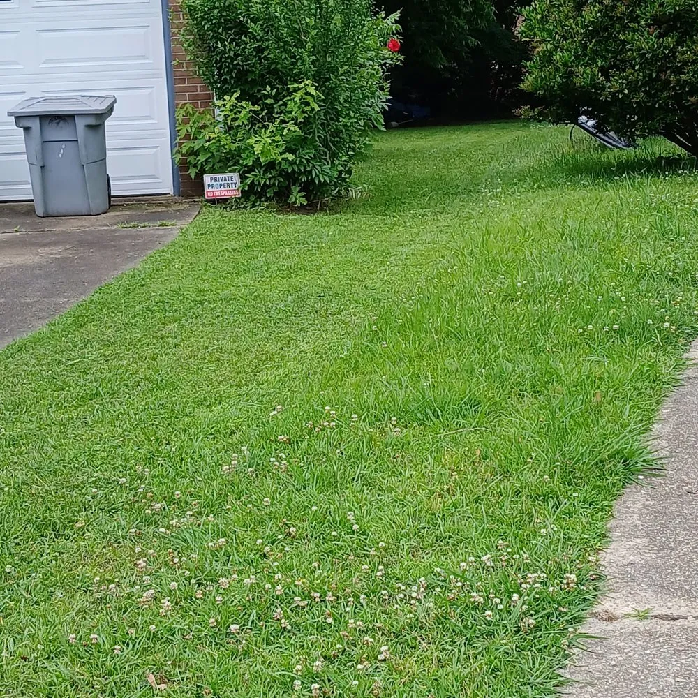 Reliable lawn mowing service in Hampton, VA - Cp Cuts