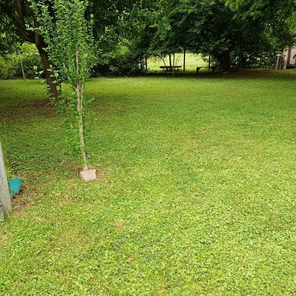 Local lawn mowing service in Hampton, VA - Cp Cuts